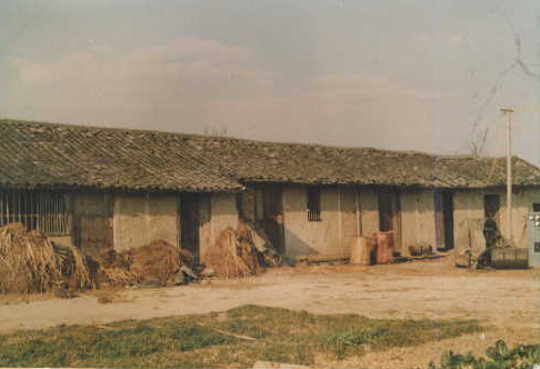 1986